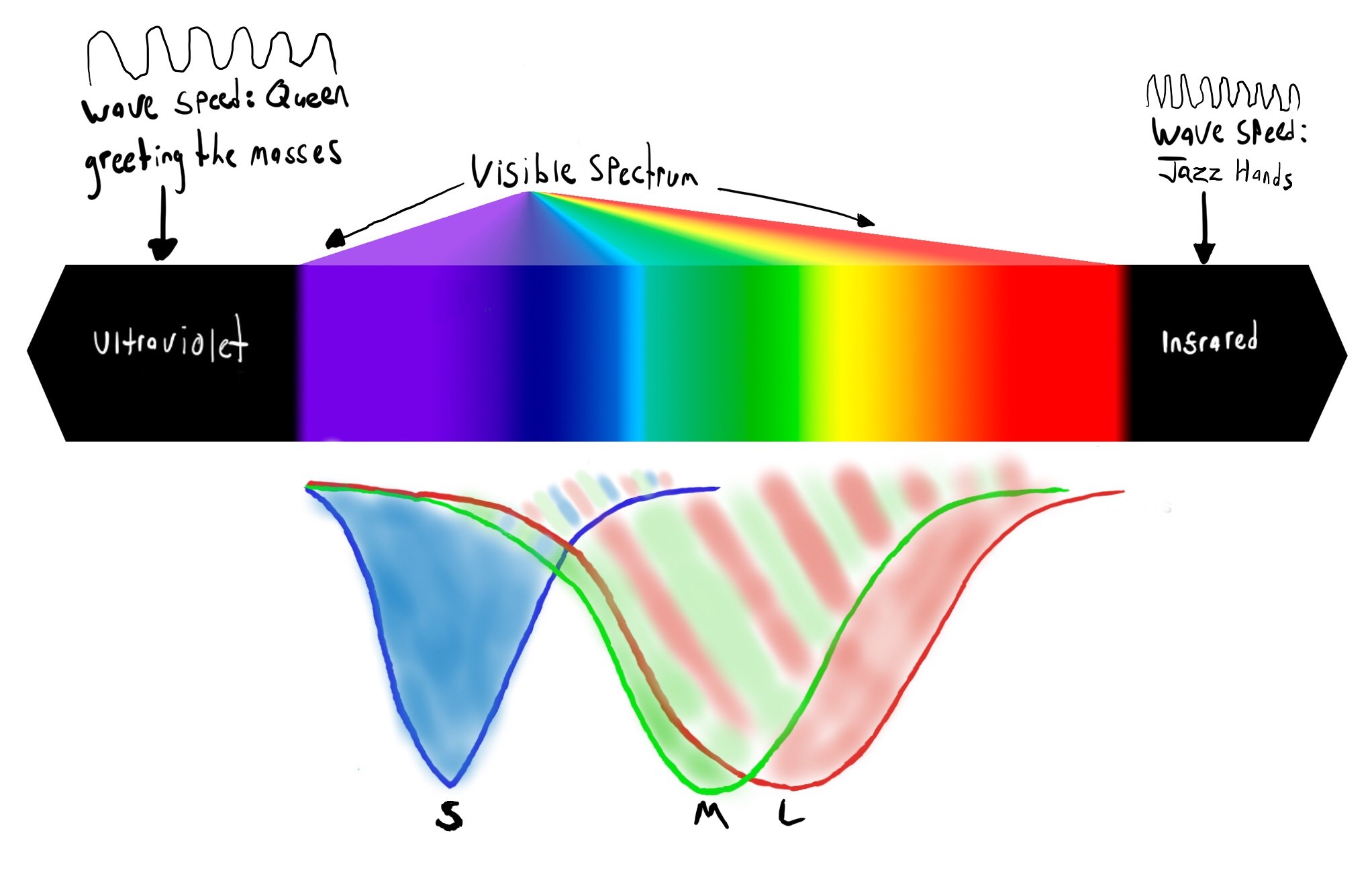 blog-spectrum